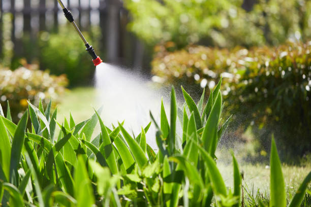 24/7 Emergency Ant Control experts in Skokie, IL